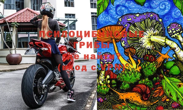 Альфа ПВП Аркадак