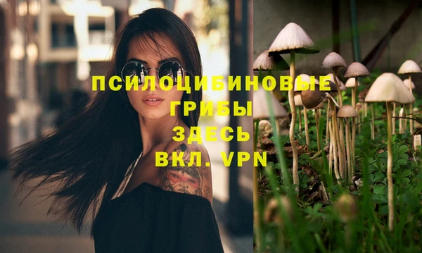 Альфа ПВП Аркадак