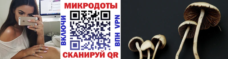 блэк спрут маркетплейс  Семикаракорск  Галлюциногенные грибы Magic Shrooms 