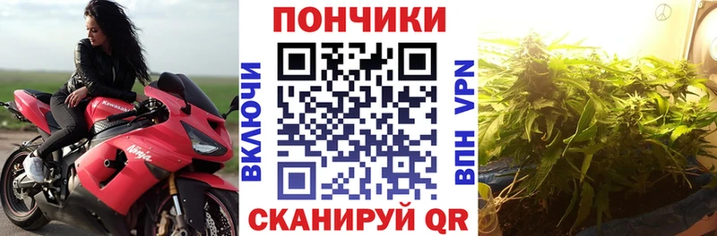 Канабис план  купить   Семикаракорск 